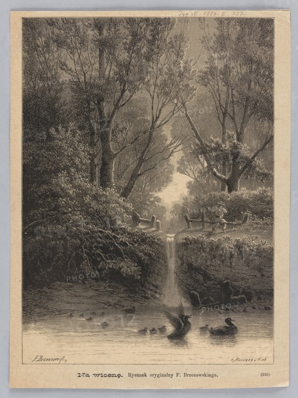 In the spring; 1883. Illustration by Feliks Brzozowski 1836–1892, reproduced by Angerer & Göschl. Lithograph/graphic press illustration for Tygodnik Ilustrowany. Depicts ducks and water birds in a water landscape with a waterfall. Polish painting/graphics; press illustration., A monochrome scene shows a wooded landscape with tall trees and dense foliage framing a narrow waterfall flowing into a calm body of water; a few ducks are on the water with one flapping its wings, and a small group of ducklings is nearby. On the raised bank above the waterfall there is a path with a fence and a person walking, carrying something over their shoulder, while another figure stands near the fence. The scene contains various shades of black, gray, and beige creating contrast between the darker trees and undergrowth and the lighter sky and water.