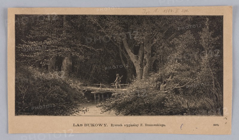 Beech forest; illustration by Feliks Brzozowski 1836–1892, 1884; graphics/press illustration depicting forest interiors, rivers, bridges, forest landscapes; reproduction of a painting; Polish painting., A dark, detailed forest scene rendered in shades of black and tan shows a group of large trees with textured trunks and dense foliage surrounding a calm body of water; a simple wooden footbridge spans the water and a lone figure stands on the bridge holding a long object, with surrounding undergrowth and bushes framing the foreground; the image is set on a tan border and the visible colors include black, tan, and gray.