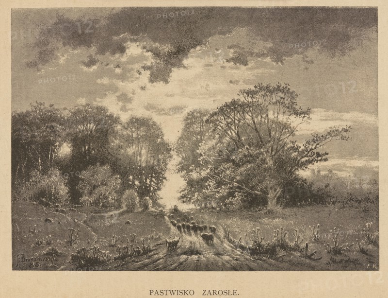 Overgrown pasture; illustration by Feliks Brzozowski 1836–1892, 1892. Pastoral landscape depicting country roads; painting/graphic press illustration in Polish painting., A monochrome landscape showing a dirt path leading into a field bordered by a group of trees on each side, with taller trees on the right and a denser stand on the left; a group of sheep stand along the path near the foreground. The sky above is filled with textured clouds, with darker cloud tones at the top and lighter areas toward the center. The ground and vegetation are rendered with varied tones and fine detail, showing grassy areas, low plants, and rough furrows along the path. Colors visible are shades of beige, brown, and gray.