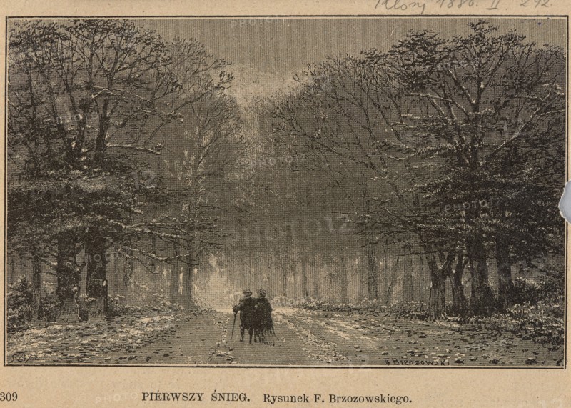 First snow; illustration for Klosy 1886, no. 1114 / November 4, p. 292. Artwork by Feliks Brzozowski 1836–1892; reproduction by C. Angerer & Göschl Vienna; graphic and photographic workshop, est. 1873. Subject: walks, forests, winter, forest roads. Medium/genre: painting reproduced as graphic press illustration; Polish painting, 1886., A sepia-toned scene of a tree-lined path stretching into the distance with bare-branched trees on both sides, a group of a few people huddled together near the center of the path, the ground covered with a light dusting suggesting a textured surface, dense layers of branches creating a canopy effect above, darker shaded areas under the trees contrasting with lighter tones toward the middle background, and overall colors of brown, tan, black, and beige.