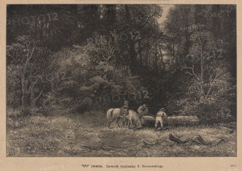 In the forest; 1885. Drawing by Feliks Brzozowski 1836–1892; reproduced by Angerer & Göschl. Press illustration graphic art for Tygodnik Ilustrowany. Subject: horses in a forest interior; Polish painting/graphic art., A sepia-toned scene shows a dense forest clearing with a group of three people and a few horses near a large fallen log; the foreground has tangled grasses and low vegetation in shades of brown and beige, while the middle and background feature thick, dark trees and leafy canopies creating deep shadowed areas in darker brown and black tones; the figures appear near the center-right, with one person seated on a horse and two others standing close to the log, and the horses are light-colored against the darker woods.