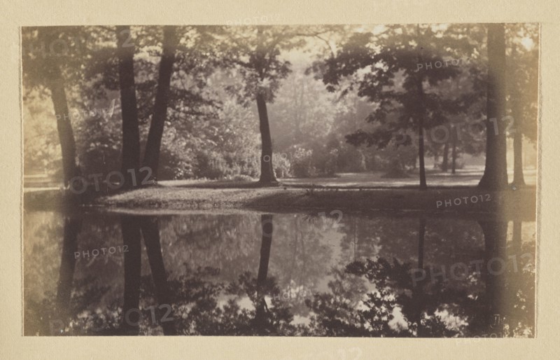 Bernardine Garden; photograph, 1912, Vilnius; photographer Jan Bulhak 1876–1950; photograph, photographic print: height 10.0 cm, width 16.4 cm; album page: height 31.0 cm, width 23.5 cm., A sepia-toned photograph showing a tranquil park scene with a group of tall trees along a grassy bank beside a still body of water, the tree trunks and leafy canopies forming dark vertical and irregular shapes against a lighter, hazy background; the water in the foreground reflects the trees and foliage, creating mirrored silhouettes and softer, blurred textures; overall colors visible are shades of brown, beige, and muted black, with areas of lighter cream tone around the image edges.
