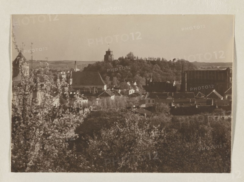 Castle Hill; photograph, Bulhak, Jan 1876–1950, Vilnius, 1912; panorama of Vilnius, Castle Hill; photograph, photographic print: height 11.5 cm, width 16.3 cm; album page: height 31.0 cm, width 23.5 cm, A sepia-toned cityscape showing a foreground of dense trees and blossoming branches in lighter tones, a midground of clustered rooftops and buildings in darker browns and muted beige, and a background of a wooded hill topped by a prominent tower structure; the sky above is pale beige and the overall image contains shades of brown, sepia, beige, and dark brown.