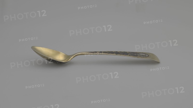 Tea spoon by Buszkowskij, Fedor Klimov fl. 1795–1834, goldsmith. Decorative gilded spoon with an ovoid scoop with a pointed tip; reverse decorated with a niello ornament with fish scales and rocailles. Flat handle, widening at the end, slightly bent and rounded, with niello decoration on both sides with floral motifs. Ornament: flowers, fish scale; coats of arms. Tea cutlery. Date: 1815. Place of origin: Veliky Ustyug, Russia. Materials/function: cutlery; length 14 cm, width 2.6 cm, weight 15 g., A single spoon lies horizontally on a plain background, showing a curved bowl and a slightly upturned handle with decorative patterns; the spoon's surfaces display metallic colors including gold and dark gray, and the background appears light gray.