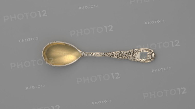 Egg spoon, Tiffany & Co. New York; goldsmith and dealer; active from 1853, designed by Charles Grosjean 1841–1888. Egg spoon with an ovoid scoop, gilded inside, with a profiled, widening handle topped with a chrysanthemum flower; both sides of the handle bear a relief decoration of chrysanthemum leaves and flowers that overlap the scoop on the back. Chrysanthemum pattern introduced by the company in 1880; late 19th century; New York, United States. Cutlery; length 11.5 cm, width 2.5 cm, weight 30 g., A single ornate spoon lies flat against a smooth gray background, showing a golden-toned bowl with a slightly worn surface and a silver-toned handle decorated with detailed floral and leaf motifs that continue along the length of the handle to an embellished rounded end; visible colors include gray, gold, and silver.