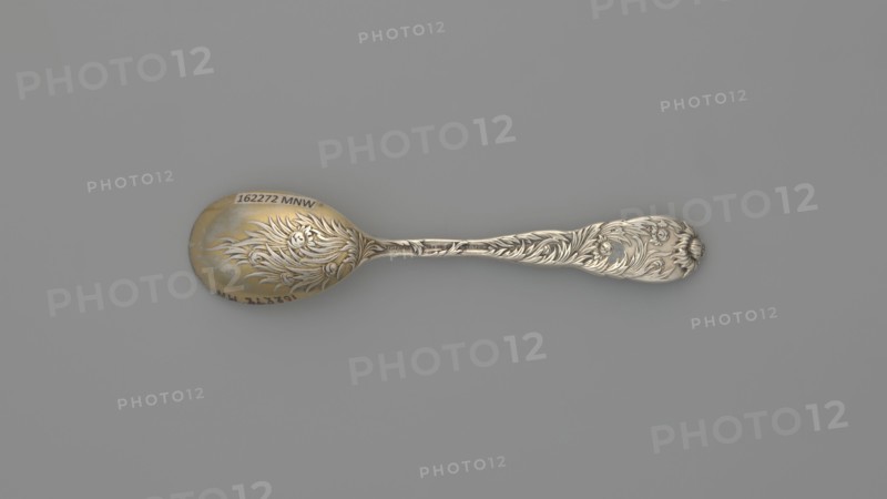 Egg spoon, Tiffany & Co. New York; goldsmith and dealer; founded 1853. Maker/designer: Charles Grosjean 1841–1888. Chrysanthemum pattern, introduced by the company in 1880. Late 19th century. Egg spoon with an ovoid scoop, gilded inside, with a profiled, widening handle topped with a chrysanthemum flower; both sides of the handle bear a relief decoration of chrysanthemum leaves and flowers, overlapping the scoop on the back. Materials: cutlery. Dimensions: length 11.5 cm; width 2.5 cm; weight 30 g., A single ornate spoon lies horizontally against a smooth gray background, showing a metallic surface with a warm golden tone on the bowl and a cooler silver tone along the handle; the spoon features intricate raised floral and leafy relief work extending from the bowl onto the handle, with flowing curved lines and petal-like shapes, and a slightly darker patina in recessed areas that accentuates the decorative details.