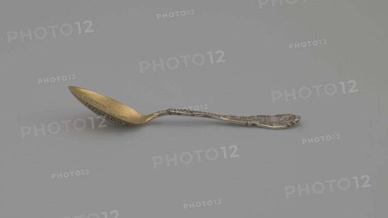 Souvenir spoon by Shepard Mfg. Co. fl. 1893–1923. Silver souvenir spoon, ovoid scoop with engraved view of buildings and the inscription JACKSON'S / BIRTHPLACE / NASHVILLE / TENN. Flat handle with irregular edges made of channel sections; the inscription TENNESSEE along the handle, above which is a man with a pickaxe. Handle widened at the end with relief depictions of a plow, a sheaf of wheat above it the Roman numeral XVI, cotton, with the inscription AGRICULTURE underneath, and a ship below with the inscription COMMERCE. These are the emblems of the state of Tennessee. XVI denotes the state's serial number. State motto: Agriculture Commerce. 19th/20th century. Made in Melrose Highlands, United States. Cutlery; length 9.5 cm, width 2.2 cm, weight 10 g., A single ornate spoon lies on a flat surface against a plain background, showing a metallic appearance with gold visible on the bowl and silver on the handle; the spoon has decorative raised patterns along the handle and a slightly cu...