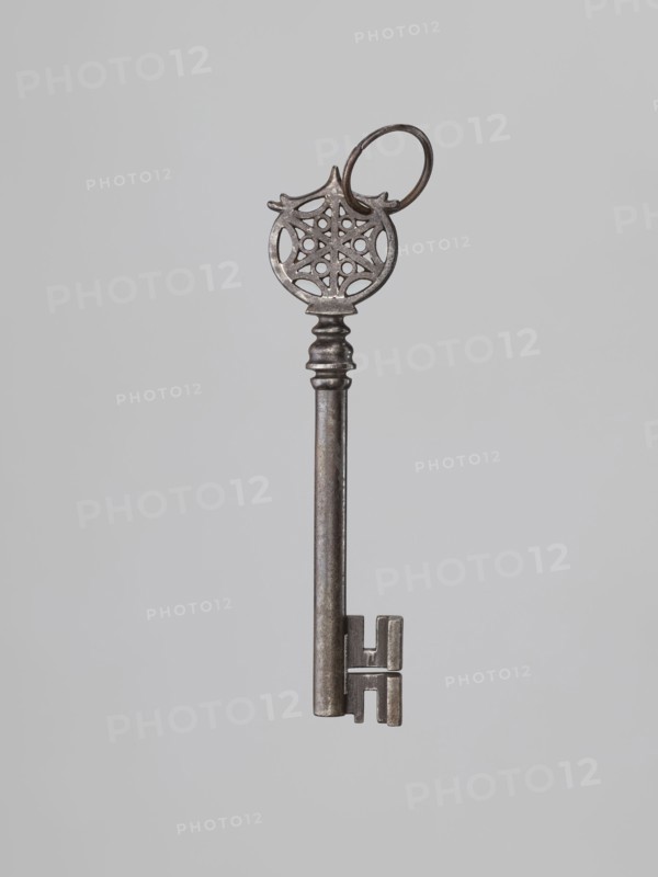 Key, locksmithing, rosette ornament. A Venetian-type key with a smooth tubular shaft, a feather extending below the shaft, and a lower edge widened on one side. Turned, profiled knot; circular handle with an inscribed six-pointed rosette with circles between the radii. Knot form not found in other keys from that period. Perhaps 19th century 17th century?. Unknown locality., A single metal key is shown against a light gray background, with a round ornate bow featuring a circular filigree pattern and a small ring attached, a long cylindrical shaft with a stepped collar near the top, and a rectangular bit with symmetrical protrusions; visible colors include shades of gray, silver, and dark metallic tones.