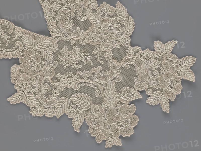 Collar, origin unknown, floral ornaments, clothing accessory for women's clothing, fashion, embroidery. Connected at the bottom by a wide, irregular inset. 2nd half of the 19th century, Europe. Width 19 cm, length 50 cm., A piece of lace fabric with an intricate floral and leaf pattern laid on a smooth background; the lace shows delicate netting and raised embroidered motifs including flowers, curling vines, and feathery leaves, with scalloped edges and ornate swirls; the lace appears in a light beige color and the background is a medium gray, creating visible contrast between the lace and its backdrop.