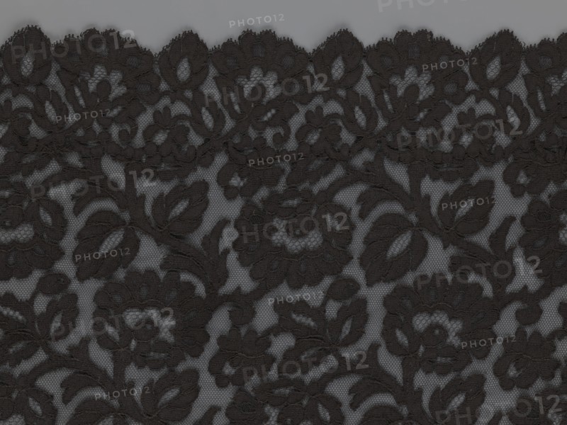 Cape, lace, in the form of a square with two wide, elongated lace ties. Continuous floral ornament with a motif of a large, asymmetrical flower sprig. Raised edge, a strip of floral edge ornament made separately and sewn on. 2nd half of the 19th century, France. Materials: lace. Dimensions: height 97 cm, width 168 cm., A patterned piece of lace fabric with a floral and leaf motif in black over a gray background, showing a scalloped top edge, a repeating arrangement of flowers and leaves, and a fine mesh net visible through the lace.
