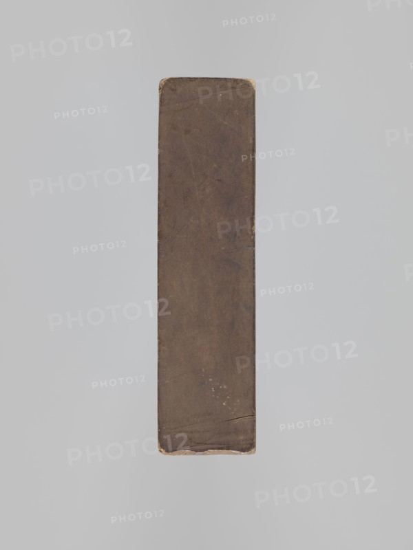 One-sided gingerbread mold with the image of a rider, decorative art, horses, riders, plant ornaments, figurative motifs, folk-style decorations, gingerbread, zoomorphic motifs, applied art, Silesia 1742–1918, one-sided rectangular mold depicting a rider on a horse wearing a hat decorated with an egret and holding an olive branch, with geometric and plant decoration at the bottom; 18th–19th century; mold; height 19 cm, width 12.8 cm, depth 3.6 cm., A narrow rectangular vertical object photographed against a plain light gray background, the object appears brown with darker and lighter brown variations, worn edges, small scuffs and scratches, a few tiny pale spots near the lower middle, slightly rounded corners at the top and bottom, and a small crack near the lower edge.