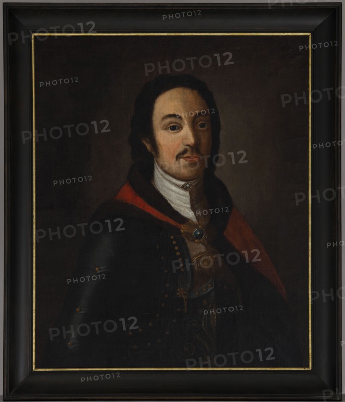 Portrait of Piotr Nalecz Malachowski ca. 1730–1799, unknown artist. Oil on canvas double canvas; later separated. Half-length portrait of a young, dark-haired man with shoulder-length hair swept back, sideburns and a small mustache, turned slightly to the right and wearing polished dark-gray armor decorated with ochre rivets and a golden palmette motif at the chest. Over the shoulders is a muted red coat lined with dark brown fur, fastened on the chest with a rectangular golden clasp set with a round green stone. A white zupan rises high at the neck and a narrow white shirt collar is fastened with a square clasp. The oval, rosy-complexioned face has a high forehead, broad black arched eyebrows, a straight tapering nose and a small pinkish-orange mouth; large dark eyes gaze outward with an absent expression. The background is brown and smoothly painted, slightly lightened around the head. The painting is executed flatly, without glazes. On the reverse, inscriptions dating from the begin...