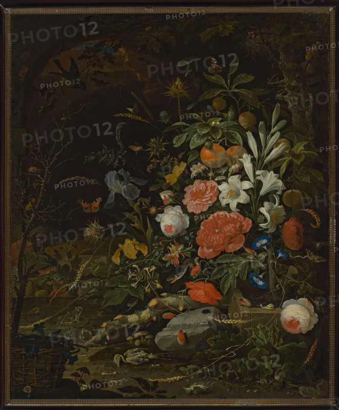 Flowers and Small Creatures - Vanitas, Mignon, Abraham 1640-1679, painter; still life painting, 2nd half of the 17th century. Depicts flowers, fruit, birds, snakes, frogs, butterflies, beetles, mice, ears of grain; Vanitas iconography. Purchase provenance., A detailed still life scene fills the image with a large, dense bouquet of flowers and foliage set against a dark background; the flowers include roses and peonies in shades of pink, red, white, and coral, lilies in white, irises in pale blue, morning glories in bright blue, and small yellow blossoms, all surrounded by green leaves of various tones. Scattered among the plants are several pieces of fruit in orange and green hues, a few grasses and wheat stalks in pale yellow, and thistles with muted brown and green tones. A couple of butterflies and small insects with orange, brown, and black markings rest on and fly near the blossoms, while a few birds with brown, black, and white feathers appear perched and in flight near the top o...