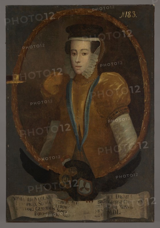 Portrait of Zofia née Radziwill post 1582–1613, 1733–1737. Oval portrait in a laurel wreath inscribed in the rectangle of the painting. Within the oval: half-length, turned three-quarters to the left, a young slender woman with dark hair visible at the temples from under a parted white bonnet, over which a dark beret is worn; wearing a yellow bell-shaped dress with a high collar and puffy short sleeves, a white shirt beneath, and a densely ribbed ruff with raised edges at the neck. A dark blue ribbon on the chest. Brownish background, smooth. The face is slim with a high forehead, almond-shaped eyes, a narrow nose, and a small mouth. The oval portrait is supported by a black eagle with spread wings, wearing a princely mitre, bearing the Traby coat of arms on its chest and the Leliwa coat of arms in its beak. In its talons it holds a white ribbon with a Latin inscription. Steel-gray smooth background for the compositional field. Inscription in white paint upper right: N 183. Dimensions:...