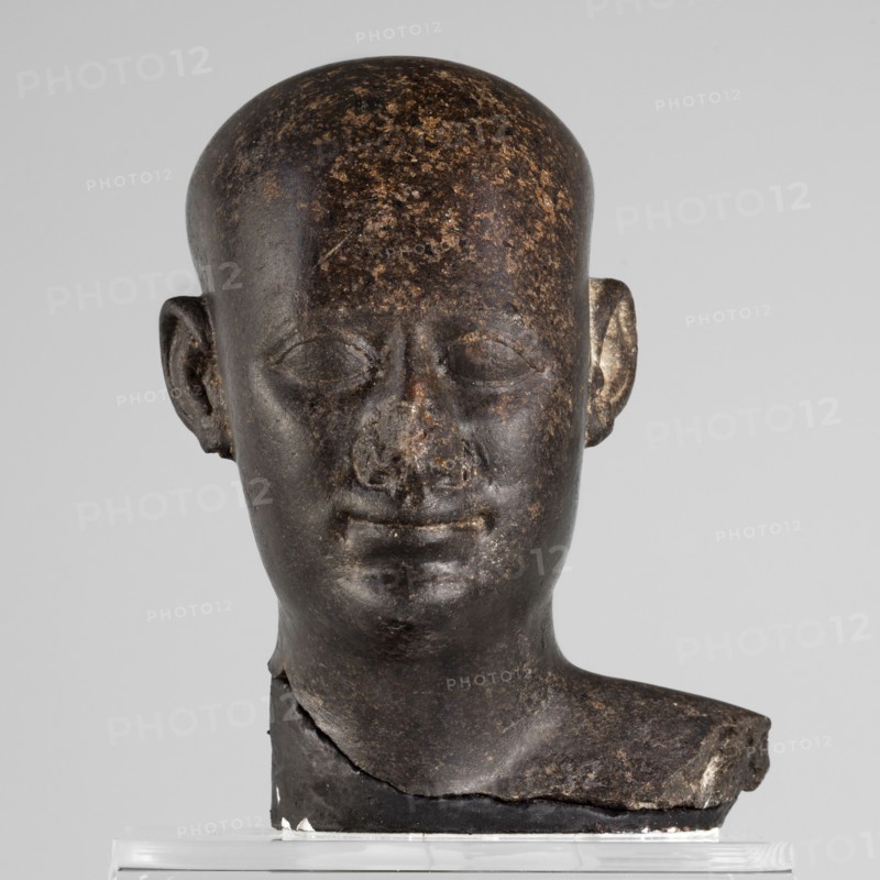 Head of a priest figurine, The head of a priest is hairless, high-domed, elongated toward the back, with a serene, young face; skillful, sensitive modeling emphasizes the skull shape, rounded cheeks, and a slightly smiling mouth. With base. 380–343 BC; Late Period, 30th Dynasty, Egypt. Sculpture. Height 10 cm, width 8 cm, depth 8 cm, weight 0.64 kg., A sculpted head and partial neck made of dark brown stone with lighter brown mottling, showing a smooth rounded skull, closed eyes, a broad nose with worn areas, and a subtle closed-mouth expression; a pair of ears projecting from the sides, one with a small lighter patch, and a fractured lower neck resting on a dark base placed atop a clear support against a light gray background.