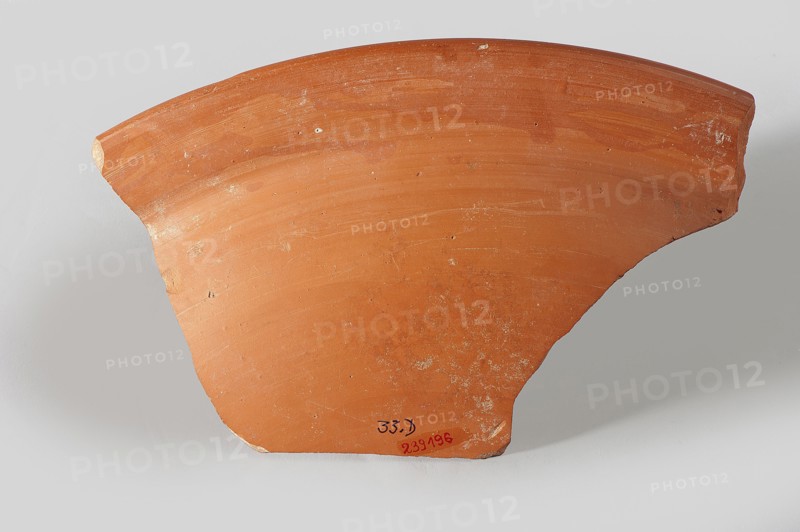Fragment of a terra sigillata plate. Fragment of the rim of a deep plate with a flat, wide rim and a frieze with predatory animals. On the preserved fragment, facing right: a lioness on the right, with short fur marked with circles and a panther with longer fur jumping. Orange clay, red glaze. The dimensions of the entire plate can be reconstructed as approx. 43.9 cm in diameter, 7.6 cm in height. Late 3rd–4th century, Tunisia. Plate; fragment width 13.4 cm, length 22.1 cm., A fragment of a curved terracotta object with a smooth surface in shades of orange and reddish-orange, showing areas of lighter orange wear and small patches of white residue; the edges are irregular and chipped with some exposed lighter clay, and the piece rests against a pale gray background with soft shadows.