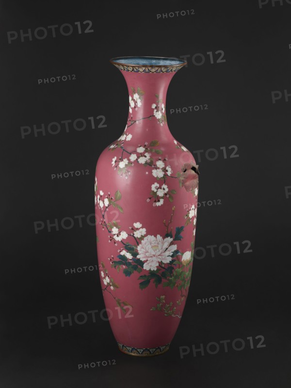 Vase, cloisonné enamel, late 19th century Meiji period, Japan. Long narrow neck flaring at the spout; height 123 cm, diameter 38 cm, weight 13.0 kg. Decoration: doves among blooming peonies and cherry trees on a pink background; motifs include cherries and peonies., A tall, narrow vase with a curved neck and flared rim sits against a dark background; the vase has a deep pink surface decorated with a pattern of white blossoms on thin brown branches and green leaves, with a cluster of larger pale pink flowers and darker green foliage near the middle, a band of blue and gold ornamentation around the rim and base, and a small area of surface damage showing a rough, darker break.