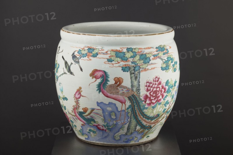 Pool — aquarium., Chinese; Qing dynasty 1644–1911, 19th century. Ceramic colored porcelain vessel decorated with chrysanthemums, lotuses and images of birds; bulging form narrowed at the bottom. Height 41.5 cm; diameter 41.1 cm., A white ceramic jar with a rounded body and a wide open rim, decorated with colorful painted imagery including a pair of stylized birds with long flowing tail feathers in shades of pink, teal, and brown, smaller birds in tones of gray and black perched on branches, and a large peony-like flower in shades of pink and red with green leaves. The painted scene also includes tree trunks and foliage in shades of green, teal, and pale yellow, cloud-like scrolls in pale orange, and rock forms in blue and lavender. The rim shows a thin band of worn brown, and the background behind the jar is a dark gray.