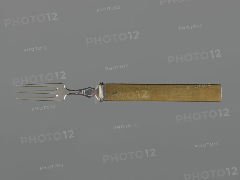 Fork with knife handle kozuka, Japanese, Edo period 1603–1868, 18th century. Kozuka for katana; metal handle with applied plastic decoration depicting grazing horses and a snake. Materials: metal; function: cutlery/knife handle for sword. Dimensions: height 17 cm, width 0.9 cm, depth 0.6 cm. Categories/subjects: snakes, horses, animals, handles, forks, swords, weapons., A metal fork with a silver-toned three-pronged head and a narrow neck connects to a rectangular handle with a brass or gold-toned finish; the background is a uniform gray.