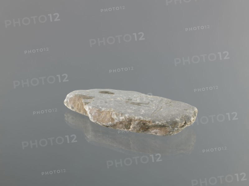 Mani stone, gift; Tibetan Buddhist ritual stone inscribed with mantras; 19th/20th century, Tibet; cult object; stone slab; weight 0.7 kg; height 18.3 cm; width 9.0 cm; Tibetan Buddhist art; Tibetan culture; Buddhism; inscriptions., A flat, irregularly shaped stone with a rough, pitted surface rests on a smooth reflective surface, showing a faint mirror image beneath it; the stone displays shades of gray, beige, light brown, and off-white, with some darker gray spots and weathered edges, and the background and surface are various tones of muted gray.