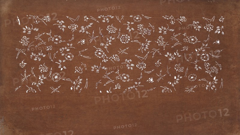Katagami dyeing stencil with a motif of scattered pine needles and flowers matsuba chirashi ni hana moyô, ise-katagami stencil, chuban format; plant pattern of pine needles and flowers; 19th century Edo period, Japan; stencil; height 41.3 cm, width 24.9 cm;, A large rectangular surface with a worn brown background showing a horizontal band near the top filled with a delicate pattern of white floral shapes and leaf-like strokes, the rest of the surface mostly unadorned brown with subtle texture and slight discoloration along the edges.