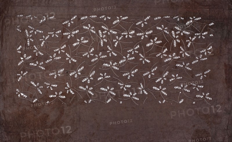 Dyeing stencil katagami cut into a swarm of butterflies; maker, 19th century, Japan; ise-katagami; stencil; height 41.0 cm, width 25.3 cm; Japanese art; butterflies; materials/technique: dyeing stencil., A large rectangular dark brown surface fills the image with a textured, mottled appearance and slightly darker edges; across the upper central area there is a dense pattern of small white short marks and white dotted curved lines forming repeating cluster shapes, creating an overall lace-like or stitched appearance against the brown background.