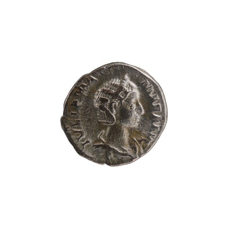 Denarius depicting Julia Mamaea ca. 180–235; Augusta 222–235 and Alexander Severus 208–235; Roman emperor 222–235; obverse/inscription references to ruler, titles, and hierarchy of power; imagery includes Juno myth. and Roman deities; iconography of Julia Mamaea 180–235, dated 225–235, Roman Empire 27 BC–476, Rome; coin; diameter 18.5–19.5 mm; weight 3.32 g., A round metal coin shown against a white background with a raised profile of a person facing right; the coin surface shows wear and texture with areas of darker and lighter metallic tones including silver, gray, brown, and hints of greenish patina; the portrait displays detailed hair and facial contours and the rim of the coin is irregular with a few notches.
