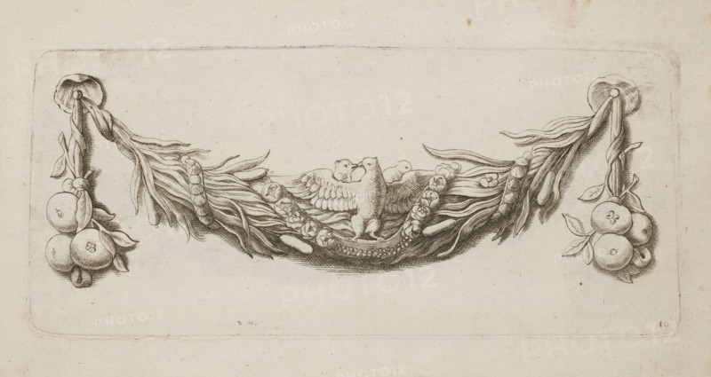Feston: Quellinus, Artus 1609–1668, engraver; Baroque; doves, apples, festoons, garlands, rushes, fruits; ornament designs, decoration patterns; Netherlandish; engraving slightly cut or torn at lower edge; ca. 1650, Amsterdam ; album; 9.9 × 21.8 cm, A horizontal monochrome drawing on a light beige background shows a central decorative garland made of flowing ribbonlike strands and a group of feathers or leaves, with a stylized bird figure perched in the middle and flanked by curved strands and beadlike clusters; the garland extends toward each side where it ties into a knot from which a cluster of round fruit and leaves hangs, mirrored on left and right. The visible colors are shades of beige, off-white, and dark brown ink.