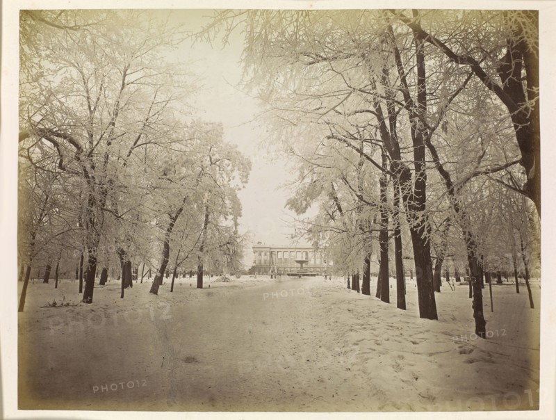 Warsaw. The Saxon Garden in Winter, Brandel, Konrad 1838–1920 photographer, ca. 1885, photography, photographic print glued across the entire surface to cardboard; print: 21 × 27.3 cm, support: 31.8 × 43.8 cm. Subjects: Warsaw Masovian Voivodeship, Saxon Garden, Saxon Palace, gardens, parks, winter, snow., A wide, snowy path runs toward a distant large building framed by rows of tall trees on both sides, their bare branches and twigs coated with frost. The ground is covered in snow with uneven footprints and drifts along the edges. Trees with dark trunks create vertical contrasts against the pale snow and sky, and some leaning branches arch over the path. The scene is dominated by muted tones of white, off-white, beige, light gray, and dark brown.