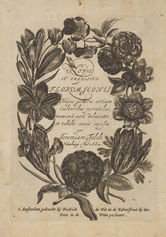 Frontispiece by Frederik de Wit ca. 1630–1706, young, engraved by Jeremias Falck ca. 1609–1677. Illustration for Falck, Florum Icones, 1662: floral wreaths and decoration patterns; pattern book/album of botanical motifs and frontispieces. Dutch and Polish/French graphic influences; after 1662. Produced in Hamburg; published in Amsterdam. Album; height 21.0 cm, width 15.1 cm., A vertical aged paper page with a dark ink botanical wreath framing the center, showing a group of intricately engraved flowers and leaves arranged around an empty central area; the floral elements include several large multi-petaled blooms, some elongated tulip-like blossoms, and a few smaller rounded flowers, all rendered with fine hatching and shading. The ink work is dark brown to black against a beige to tan background that shows small spots and uneven discoloration. Leaves of various shapes—long narrow ones and broader veined ones—intertwine with stems and buds, creating a balanced symmetrical oval compositi...