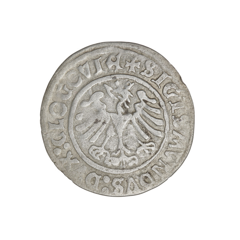 Glogów grosz, Sigismund I the Old (King of Poland; 1506–1548). Coin (weight 1.86 g), 1506, Glogów, Poland. Obverse: Pogon (coat of arms) with the date 1506 below; rim inscription divided by a cross: + KAZIMIRI : POLONIE : NATVS +. Reverse: Polish eagle with animals/horses, eagles, claws, wings; rim inscription divided by a cross: + SIGISMVNDVS : DVX : GLOGOVIE +. Medium/state of preservation noted.