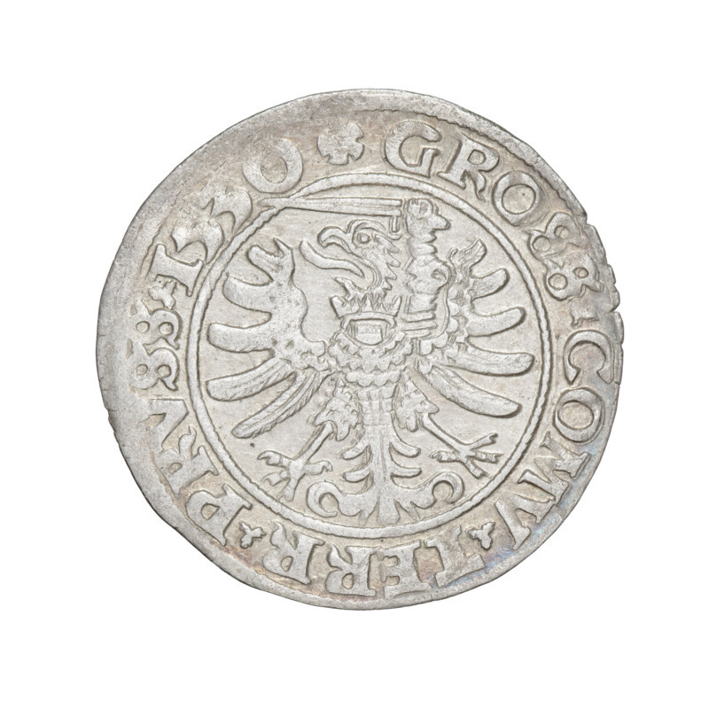 Prussian grosz, Sigismund I the Old (King of Poland; 1506–1548). Obverse: Crowned male bust in profile turned to the right, in the rim between pearl borders an inscription: .SIGIS.I., X.PO.DO.TOCI.PRVS Rw. Reverse: The Eagle of Royal Prussia, in the rim between the pearl borders the inscription: .GROSS.COMV.TERR.PRVSS.1530. Date: 1530. Torun, Poland. Subjects/ motifs: eagles, Polish coins, Jagiellonians (dynasty), emblems, Eagle (emblem), male/royal bust; iconography of Sigismund I the Old. Materials/format: coin (grosz).