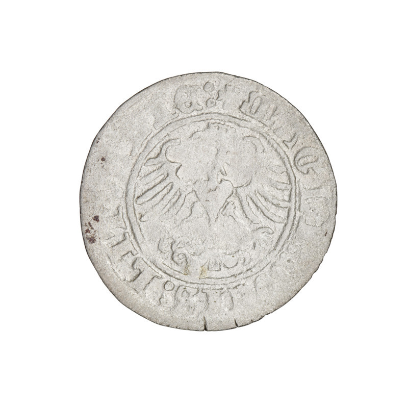 Lithuanian half-grosz, Sigismund I the Old (king of Poland; 1506–1548). Obverse: Pursuer (coat of arms of Lithuania) turned left; in the rim between pearl borders an inscription: +, A:SIGISMVNDI:1510:. Reverse: Polish eagle with crown; in the rim between pearl borders an inscription: + MAGN, S:LITIE:, 1510. Grand Duchy of Lithuania, Vilnius, Poland. Coin. Diameter 19.5–19.9 mm; weight 1.22 g.