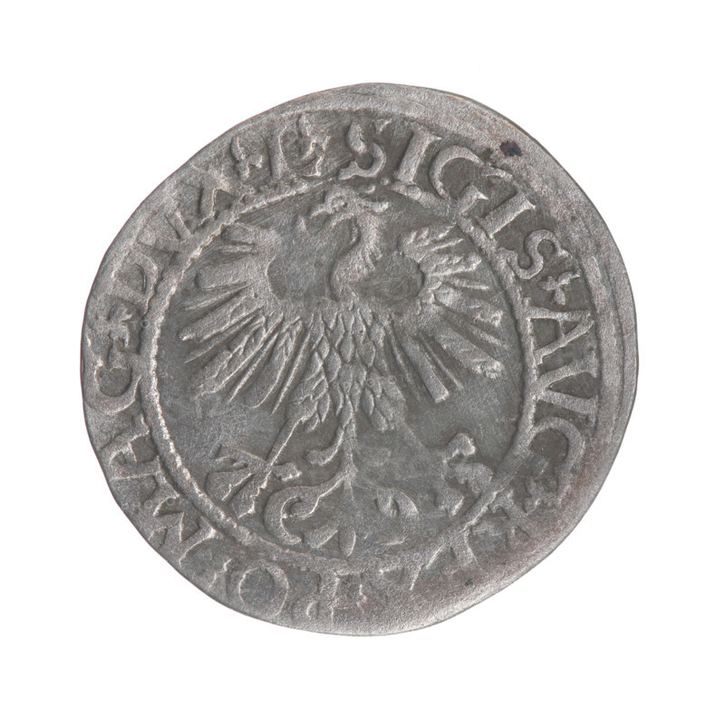 Lithuanian half-grosz, Sigismund II Augustus (King of Poland; 1544–1572). Obverse: Polish Eagle with rim inscription between pearly borders: .SIGIS.AVG., O.MAG.DVX.L. Reverse: Lithuanian Pogon with the year 1561 below and rim inscription between pearly borders: .MONE, MAGNI.DVCAT9.LITVA. Coats of arms: Jagiellons dynasty; motifs: eagles and Pogon. Minted 1561, Grand Duchy of Lithuania, Vilnius, Poland.