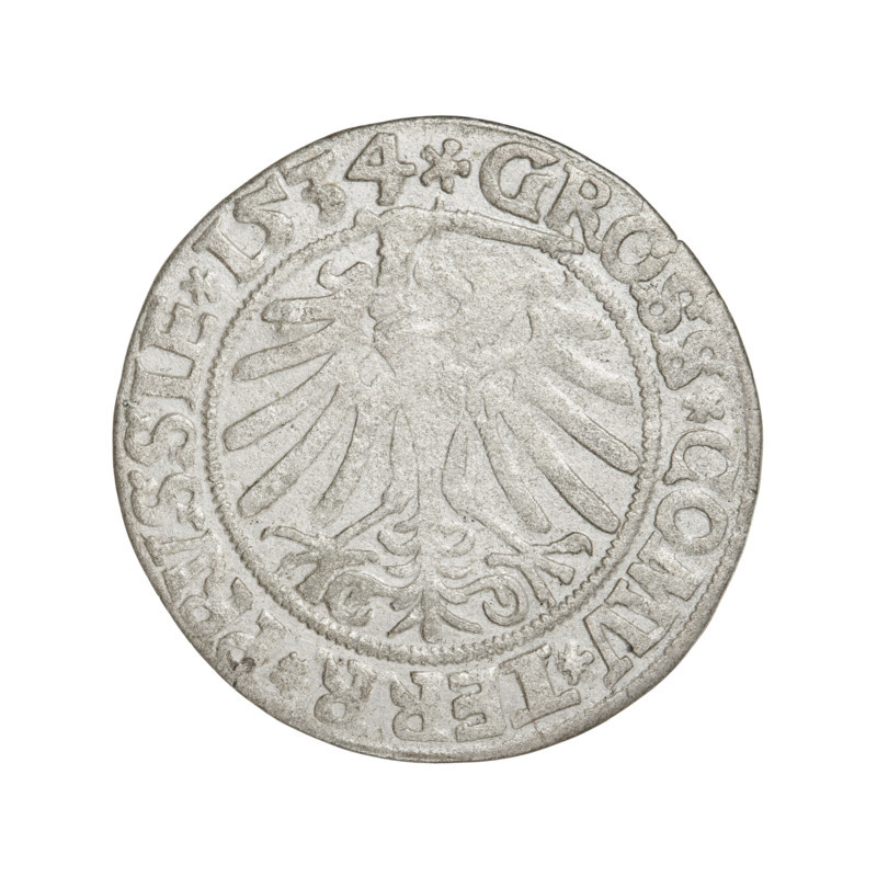 Prussian grosz, Sigismund I the Old (King of Poland; 1506–1548). Obverse: Crowned male bust in profile turned to the right; in the rim between pearly borders the inscription: .SIGIS.I.REX.PO.DO.TOCI.PRVSSIE. Reverse: The Eagle of Royal Prussia; in the rim between pearly borders the inscription: .GROSS.COMV.TERR.PRVSSIE. 1534. Torun, Poland. Coin; diameter 22.8–23.4 mm; weight 1.84 g. Categories: eagles, Polish coins, Jagiellonians (dynasty), coats of arms, royal bust, iconography of Sigismund I.