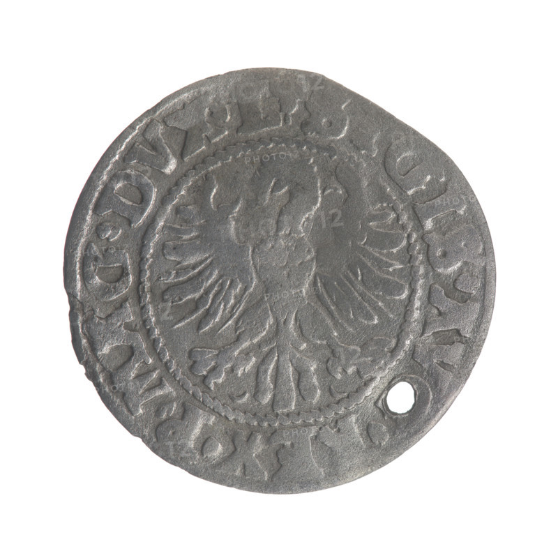 Lithuanian half-grosz (1546), Sigismund II Augustus (King of Poland, 1544–1572). Obverse: Polish Eagle; rim inscription between pearly borders: 'S GIS.AV .REX.P.MAG.DVX.L'. Reverse: Lithuanian Pogon (coat of arms); below the year '1546'; rim inscription between pearly borders: 'M NET .MA NI.DVCAT9.LITV'. Materials/format: coin; diameter ~19–20 mm; weight ~1 g.