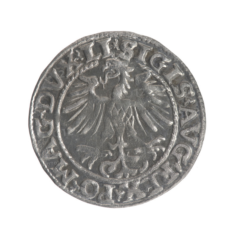 Lithuanian half-grosz, Sigismund II Augustus (King of Poland; 1544–1572). Obverse: Polish eagle; in the rim between pearly borders the inscription '.SIGIS.AVG.REX.PO.MAG.DVX.LI'. Reverse: Lithuanian Pogon; below the year '1554', in the rim between pearly borders the inscription '.MONETA.MAGNI.DVCAT9.LITVA'. Dated 1554. Grand Duchy of Lithuania, Poland, Vilnius. Coin; diameter 19.2–19.4 mm; weight 1.2 g.