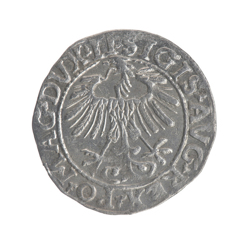 Lithuanian half-grosz, Sigismund II Augustus (King of Poland; 1544–1572). Obverse: Polish Eagle; in the rim between pearly borders the inscription: .SIGIS.AVG.REX.PO.MAG.DVX.LI. Reverse: Lithuanian Pogon; below the year 1557; in the rim between pearly borders the inscription: .MONETA.MGNI.DVCAT9.LITVA. Dated 1557. Grand Duchy of Lithuania (Vilnius). Coin; diameter 19.0–19.6 mm; weight 1.2 g. Coats of arms: Jagiellons; eagles; Pogon.