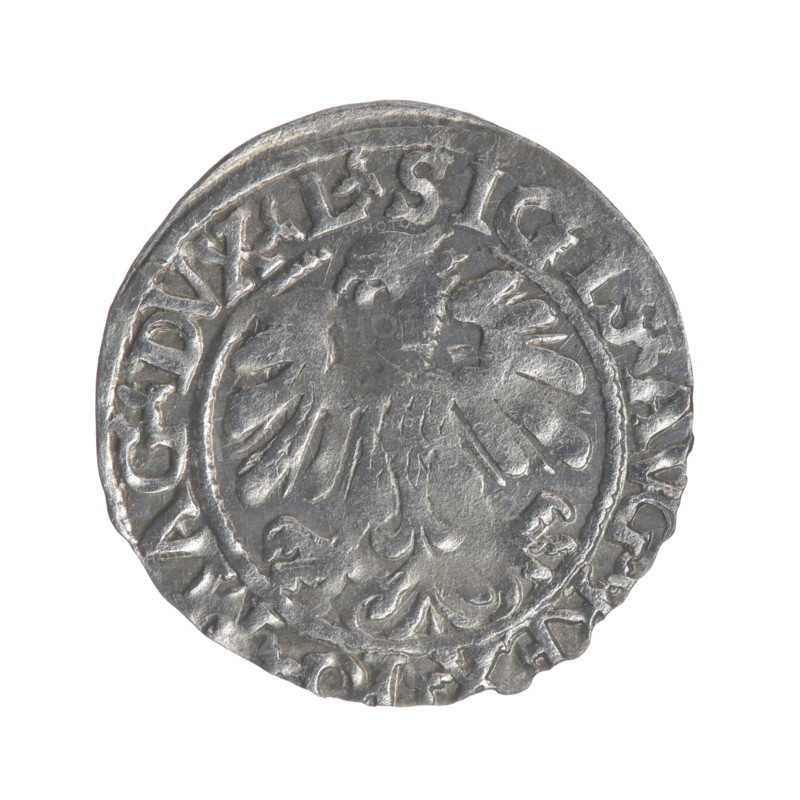 Lithuanian half-grosz, Sigismund II Augustus (King of Poland; 1544–1572). Obverse: Polish Eagle; in the rim between pearly borders the inscription 'SIGIS.AVG. MAG.DVX.L'. Reverse: Lithuanian Pogon, below the year 1559; in the rim between pearly borders the inscription 'MONETA MAGNI'. Coats of arms of the Jagiellons (dynasty); motifs: eagles and Pogon. Date: 1559. Grand Duchy of Lithuania (Vilnius). Coin (half-grosz), diameter ~19.5–19.8 mm, weight 1.1 g.