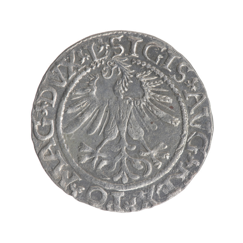 Lithuanian half-grosz, Sigismund II Augustus (King of Poland; 1544–1572). Obverse: Polish eagle; in the rim between pearly borders the inscription “.SIGIS.AVG.REX.PO.MAG.DVX.L”. Reverse: Lithuanian Pogon; below the year 1561; in the rim between pearly borders the inscription “.MONETA.MAGNI.DVCAT9.LITV”. 1561. Grand Duchy of Lithuania (Vilnius). Coin; diameter ~19.2–19.5 mm; weight 1.24 g. Coats of arms: Jagiellons; Polish eagle; Pogon (Lithuanian knight).