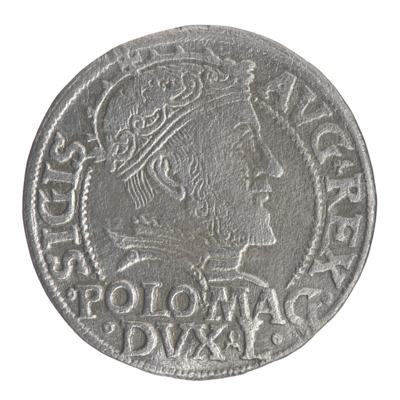 Lithuanian grosz on a Polish foot, Sigismund II Augustus (King of Poland; 1544–1572), Jagiellon dynasty; emblems; royal bust; Polish coins; Pogon (coat of arms; Lithuania); Sigismund II Augustus (1520–1572) — iconography; male busts; monograms; Columns of Gediminas (coat of arms of Lithuania); tied monogram (type), monogram SA. Obv.: Crowned male bust in armor turned right, separating at the top an inscription in a half-circle: SIGIS-AVG.REX; at the bottom horizontally in two lines: .POLO.MAG./.DVX.L. Rev.: Lithuanian Pogon turned left, below a crown dividing the date 15-46; a tied monogram composed of the letters SA and the coat of arms of the Columns, which divide the inscription in the rim: MONETA.MAGNI.DVC.LITVA. Date: 1546. Grand Duchy of Lithuania, Vilnius, Poland. Coin; diameter ~22.8–23.0 mm; weight 1.84 g.