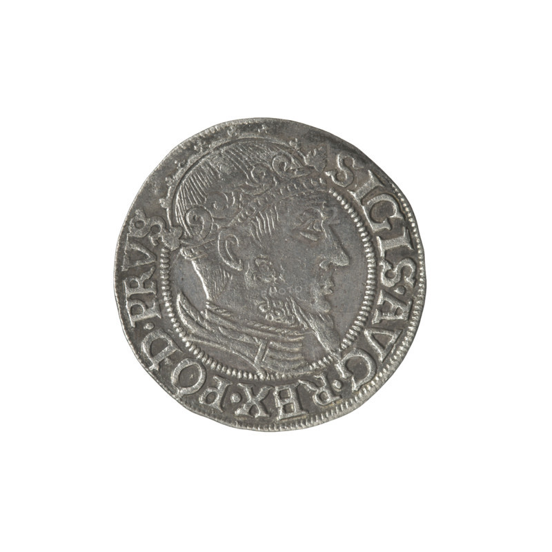 Gdansk grosz, Sigismund II Augustus (King of Poland; 1544–1572), Jagiellon dynasty. Obverse: Crowned male bust in profile turned to the right; rim between pearl-shaped borders bears inscription divided at the top: SIGIS.AVG.REX.PO.D.PRVS. Reverse: Coat of arms of Gdansk; rim between pearl-shaped borders bears inscription: GROSSVS.CIVI.GEDANEN.1557. Date: 1557. Material: coin (Poland, Gdansk). Diameter 22.0–22.6 mm, axis 340°, weight 1.94 g. Iconography: royal bust; coats of arms of cities; male busts; Sigismund II Augustus – iconography.