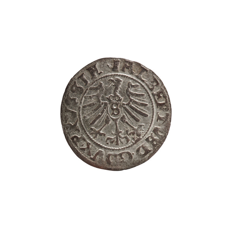 szelag, Nimptsch (Nimsch), Wolf, R (rarity), eagles, rosettes, Hohenzollern (coat of arms), Albrecht Hohenzollern (Prince of Prussia; 1490-1568), Obv. Prussian eagle, on its chest the crowned letter S. On the rim, between the pearl borders, an inscription beginning with a tower - the mint master's mark. Between the words one dot each ALBERTVS DG DVX PRVSSIE Rev. The letter A, below which the Hohenzollern coat of arms. On both sides of the letter, one rosette. In the rim between the pearl borders an inscription beginning with a rosette. Between the words one rosette each SOLIDVS PRVSSIE 1559, 1559, Königsberg, Ducal Prussia (1525-1701), coin, diameter 20.0 mm, weight 1.05 g, axis 315 degrees.