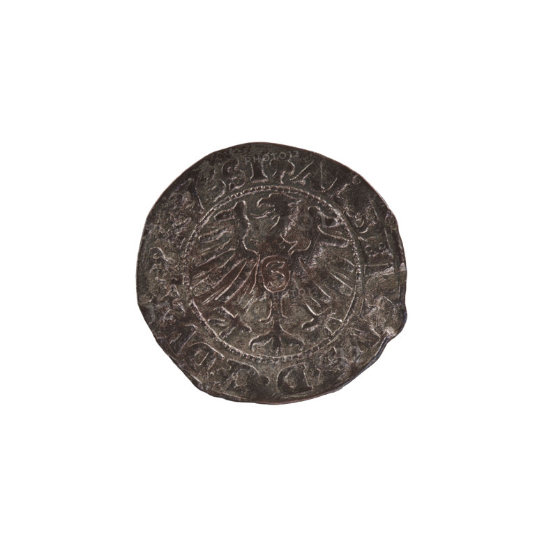 szelag; Nimptsch (Nimsch), Hans; Goebell, Hans, publisher; R2 (rarity); eagles; Hohenzollern (coat of arms); rosettes; Albrecht Hohenzollern (Prince of Prussia; 1490–1568). Obv.: Prussian eagle with crowned letter S on its chest; on the rim, between pearl borders, an inscription beginning with a trefoil; between words, one dot. Legend: ALBERTVS DG DVX PRVSSI. Rev.: Letter A with the Hohenzollern heraldic shield below; one rosette on both sides of and above the letter. Inner legend between pearl borders: SOLIDVS PRVSSIE 1554 (rosettes at the beginning of the legend and between words). 1554, Königsberg, Ducal Prussia (1525–1701). Coin; diameter 20.3 mm; weight 1.13 g; axis 160°.