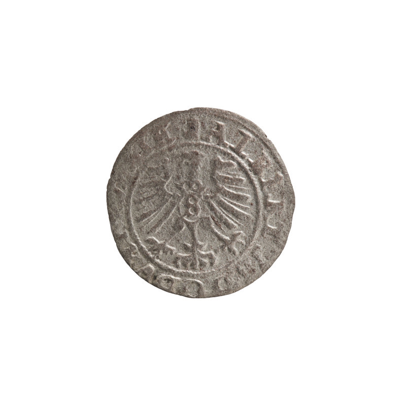 szelag, Nimptsch (Nimsch), Wolf, R1 (rarity), eagles, rosettes, Hohenzollern (coat of arms), Albrecht Hohenzollern (Prince of Prussia; 1490–1568). Obverse: Prussian eagle, on its chest the crowned letter S. On the rim, between the pearl borders, an inscription beginning with a tower — the mint master's mark. Between the words one dot ALBERTVS DG DVX, SIE Rw. The letter A, under which the heraldic shield of the Hohenzollerns. On both sides of the letters, one rosette. Reverse: in the rim between the pearl borders an inscription beginning with a rosette. One rosette between the words. SOLI, PRVSSIE 1557. Ducal Prussia (1525–1701), Königsberg. Coin: diameter 19.2 mm, weight 0.88 g, axis 315°.