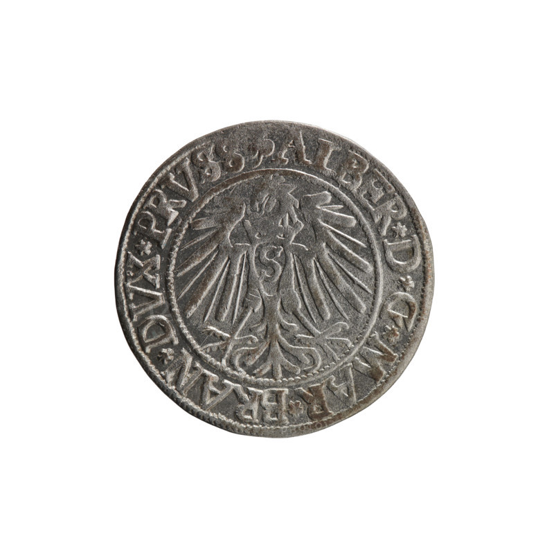 Albrecht Hohenzollern (Prince of Prussia; 1490–1568) — coin, 1541, Königsberg, Ducal Prussia (1525–1701). Obverse: Prussian eagle, on its chest the crowned letter S; rim between pearl-shaped borders with inscription beginning with a trefoil ALBER*D*G*MAR*BRAN*DVX*PRVS. Reverse: male bust in armor in profile to the right; short hair, long beard with sideburns, inner border divided by Hohenzollern shield; rim between pearl-shaped borders with inscription beginning *IVSTVS*EX, IDE*VIVIT*I54I*. Coin diameter 23.8 mm, weight 1.94 g, axis 190°. Iconography: eagles, Hohenzollern coat of arms, male busts in armor. Maker: grosz, Schilling, Maciej; rarity R0.