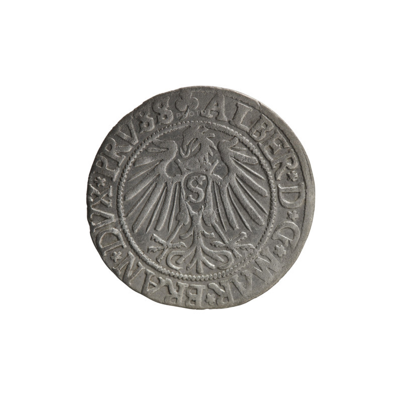 grosz, Straub (Strawb), Heinrich, R0 (rarity), Albrecht Hohenzollern (Prince of Prussia; 1490–1568) — iconography: eagles, Hohenzollern coat of arms, male busts in armor. Obverse: Prussian eagle; on its chest the crowned letter S. In the rim, between pearl-shaped borders, an inscription beginning with a trefoil: ALBER*D*G*MAR*BRAN*DVX*PRVSS. Reverse: male bust in armor in profile turned to the right; short hair, long beard with sideburns, dividing the inner border. In the rim, between pearl-shaped borders, an inscription beginning with the Hohenzollern shield: *IVSTVS*EX*FIDE*VIVIT*I54Z*. Date: 1542. Place: Ducal Prussia (1525–1701), Königsberg. Coin: diameter 23.5 mm; weight 1.92 g; axis 225°.