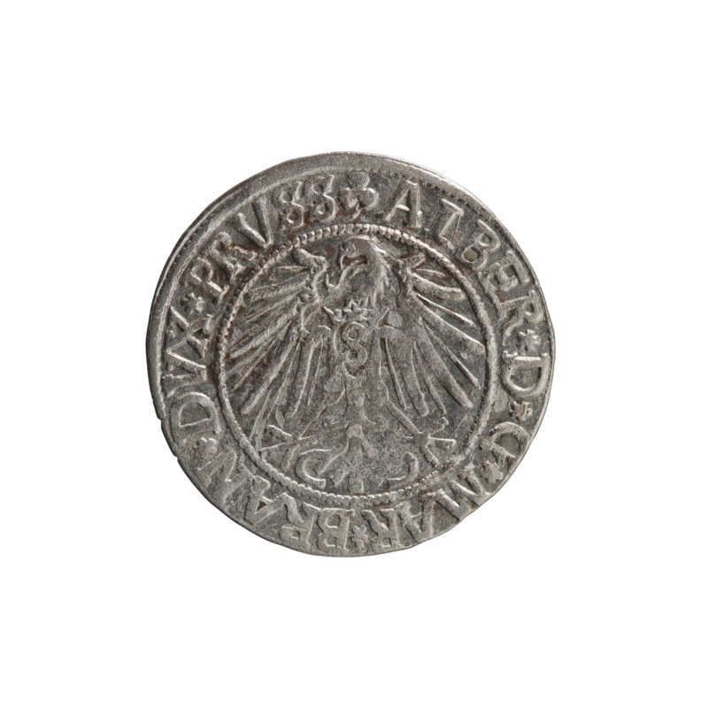grosz, Straub (Strawb), Heinrich, R0 (rarity). Albrecht Hohenzollern (Prince of Prussia; 1490–1568) — iconography: eagles, Hohenzollern coat of arms, male busts in armor. Obv.: Prussian eagle, on its chest the crowned letter S. In the rim, between the pearl-shaped borders, an inscription beginning with a trefoil: ALBER*D*G*MAR*BRAN*DVX*PRVSS. Rev.: Male bust in armor in profile turned to the right; short hair, long beard with sideburns, dividing the inner border. In the rim, between the pearl-shaped borders, an inscription beginning with the Hohenzollern shield: *IVSTVS*EX*FIDE*VIVIT*I54Z*. Date: 1542. Place: Ducal Prussia (1525–1701), Königsberg. Coin: diameter 23.7 mm, weight 1.97 g, axis 45°.