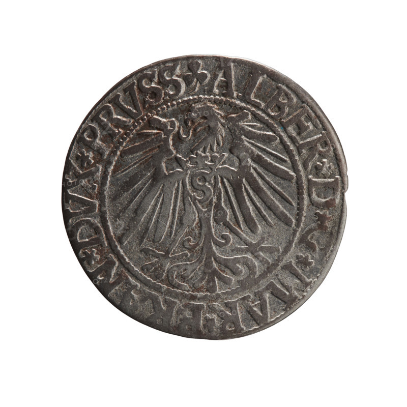 Albrecht Hohenzollern (Prince of Prussia; 1490–1568) — obverse: Prussian eagle with crowned letter S on its chest; on the rim between pearl-shaped borders an inscription beginning with a trefoil ALBER*D .]*MAR*BRAN*DVX*PRVSS. Reverse: male bust in armor in profile turned right; short hair, long beard with sideburns; Hohenzollern shield and on the rim between pearl-shaped borders an inscription beginning with *IVSTVS*EX*FIDE, VIVIT*I543*. 1543. Ducal Prussia (1525–1701), Königsberg; coin. Diameter 22.7 mm, weight 1.80 g, axis 290°. Icons: iconography, eagles, male busts in armor, Hohenzollern (coat of arms). Makers/attribution: grosz, Schilling, Maciej; R0 (rarity).