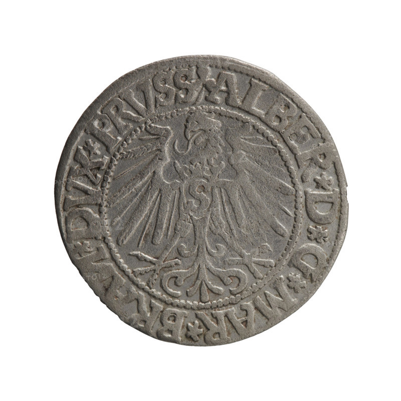 grosz, Schilling, Maciej, R0 (rarity), Albrecht Hohenzollern (Prince of Prussia; 1490–1568) - iconography, eagles, male busts in armor, Hohenzollern (coat of arms). Obv.: Prussian eagle, on its chest the crowned letter S; in the rim between pearl-shaped borders an inscription beginning with a trefoil (mirror-image N) ALBER*D*G*MAR*BRAN*DVX*PRVSS. Rev.: Male bust in armor in profile turned to the right; short hair, long pointed beard with sideburns, dividing the inner border; in the rim between pearl-shaped borders an inscription beginning with the Hohenzollern shield *IVSTVS*EX*FIDE*VIVIT*I544*. 1544, Ducal Prussia (1525–1701), Königsberg. Coin: diameter 23.6 mm, weight 1.90 g, axis 315°.